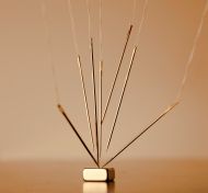 Rainer Schaidle   Tanz Mit Mir Und Zieh Mich An